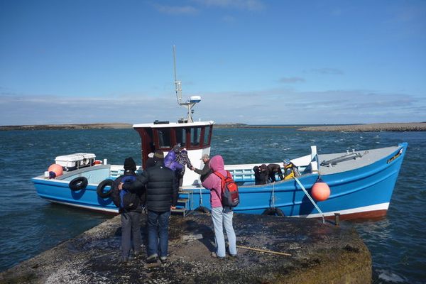 Visitors re-boarding boat on Inner Farne