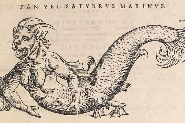 A "sea devil" from Icones animalium (1553).