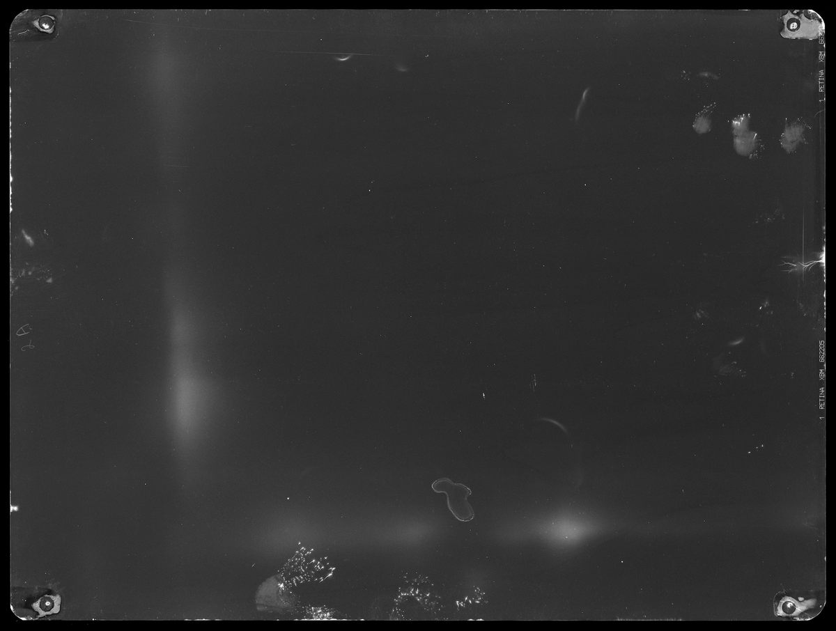 Alice Miceli, <em>fragment of a window I - 2.494 µSv (21.01.09 - 07.04.09)</em>, backlight, radiographic negative.