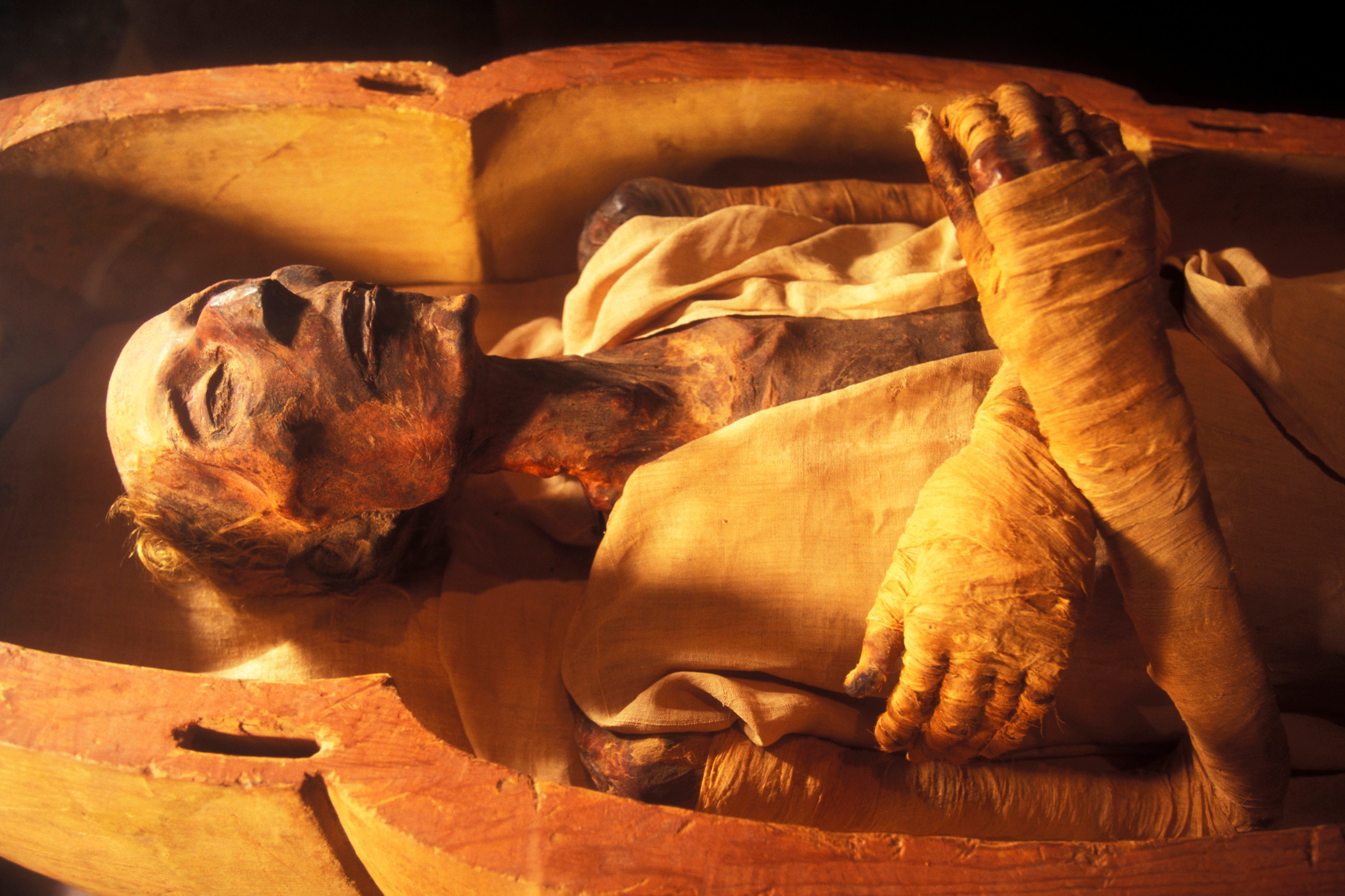 Ancient Egyptians May Have Spiced Their Mummies