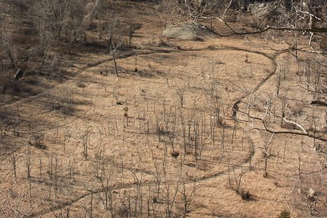 Continuing up the Washburn Trail you will soon find yourself on top of the steep cliffs, looking down at the quarry