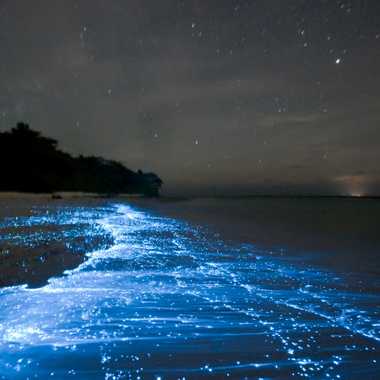 Bioluminescence from glowing plankton off Vaadhoo Island in the Maldives.