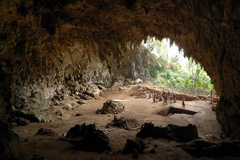 The island cave where the remains of <em>Homo floresiensis</em> were found.