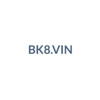 Profile image for bk8vin