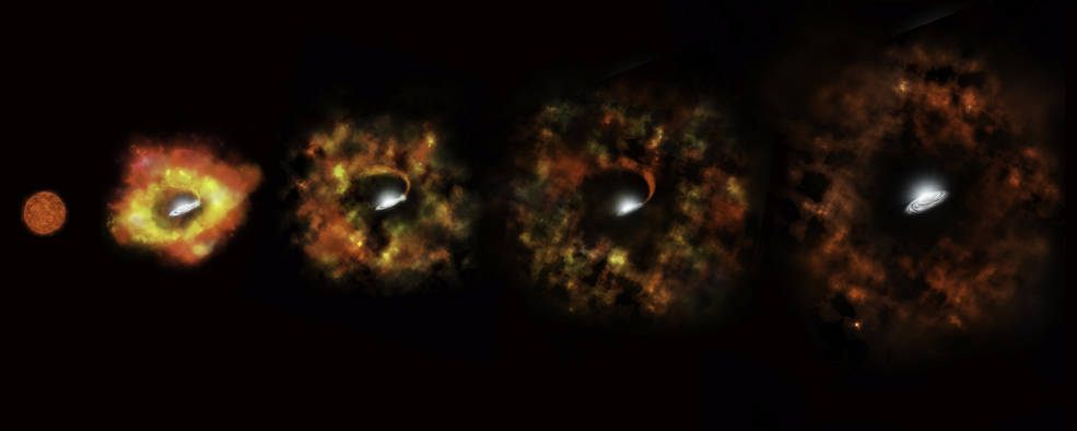 The demise of N6946-BH1, from red supergiant to failed supernova to black hole.
