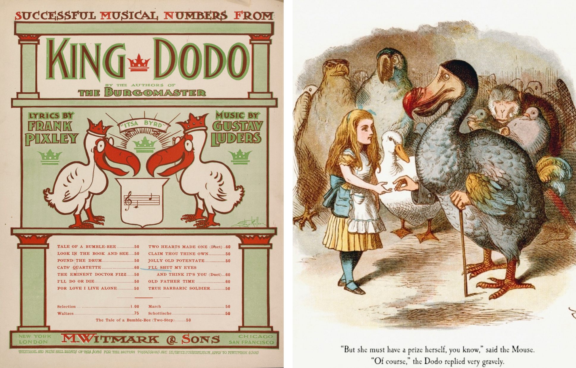 Natural history museum-Dodo-Extinct-Bird Poster