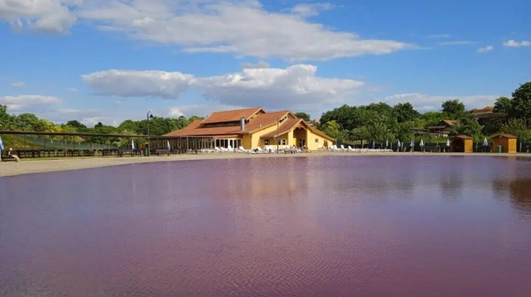Pink Lake Pačir in Pačir