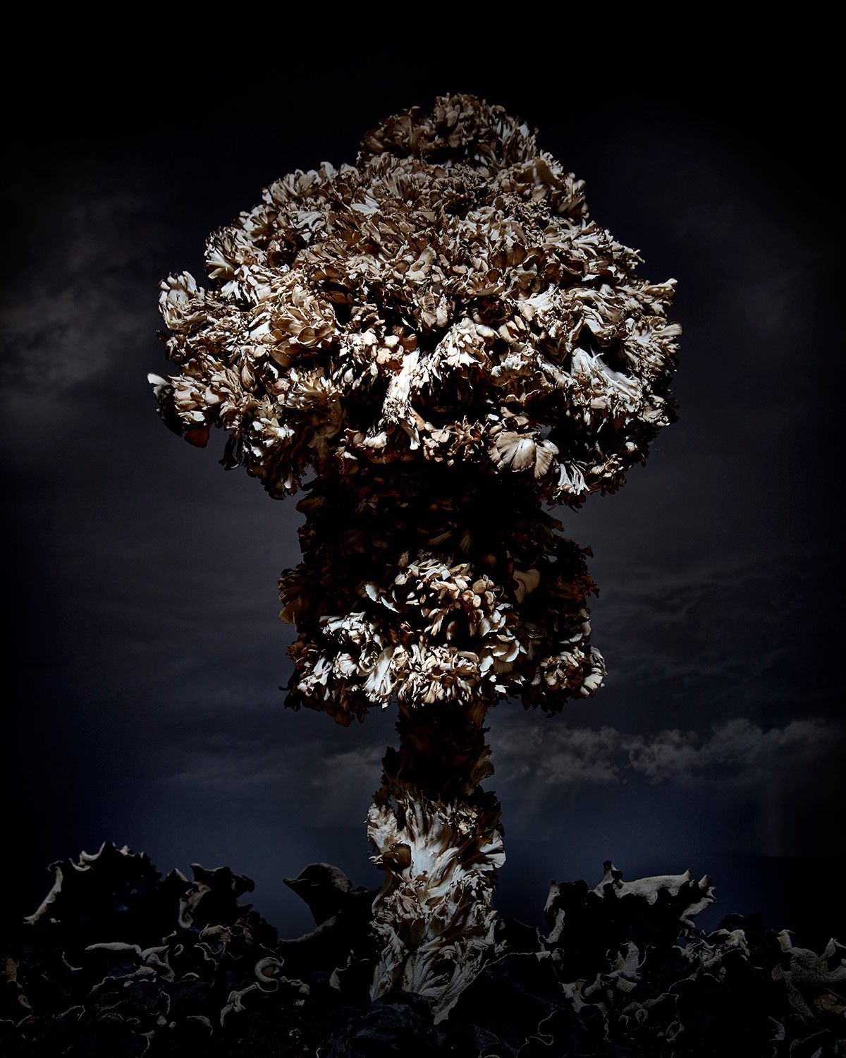 These Mushroom Clouds Are Made From Actual Mushrooms Gastro Obscura 4066