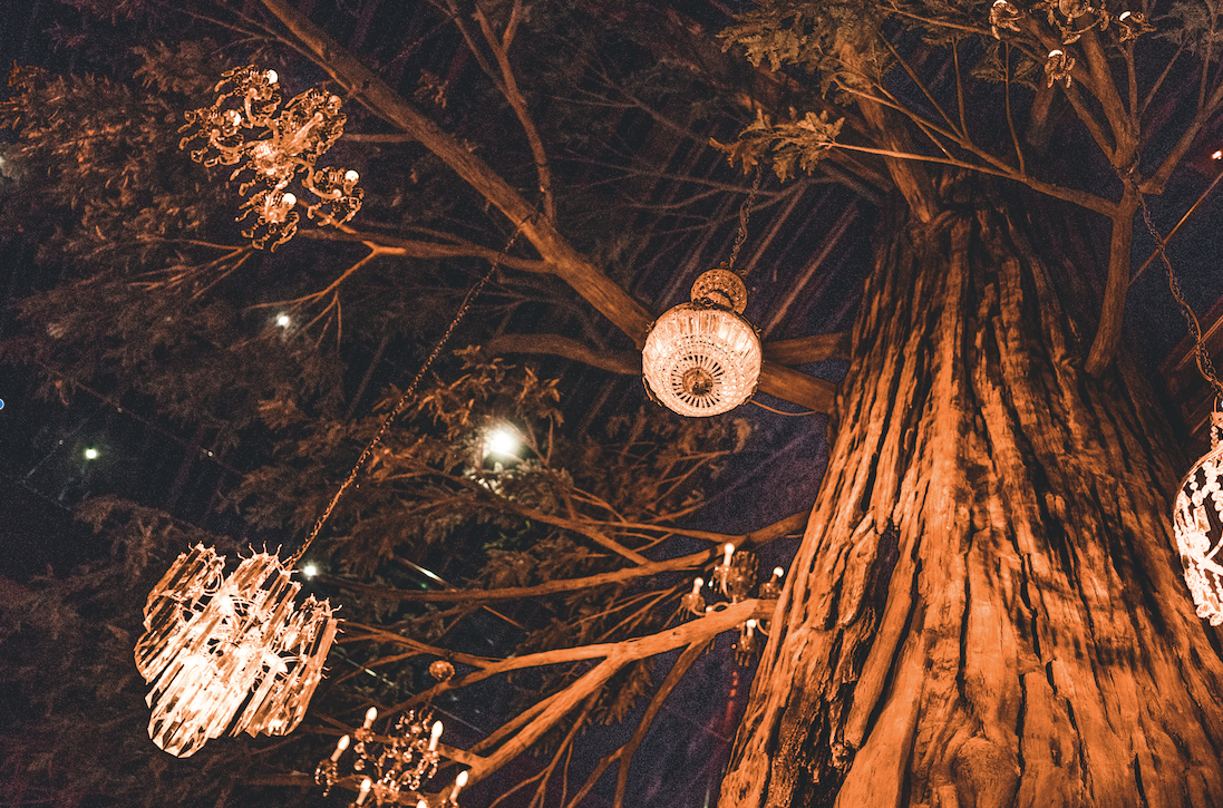 Chandeliers hang from a faux-redwood.