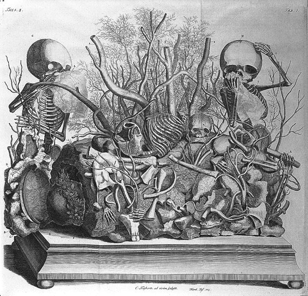 Ruysch, <em>Opera omnia anatomico-medico</em>.