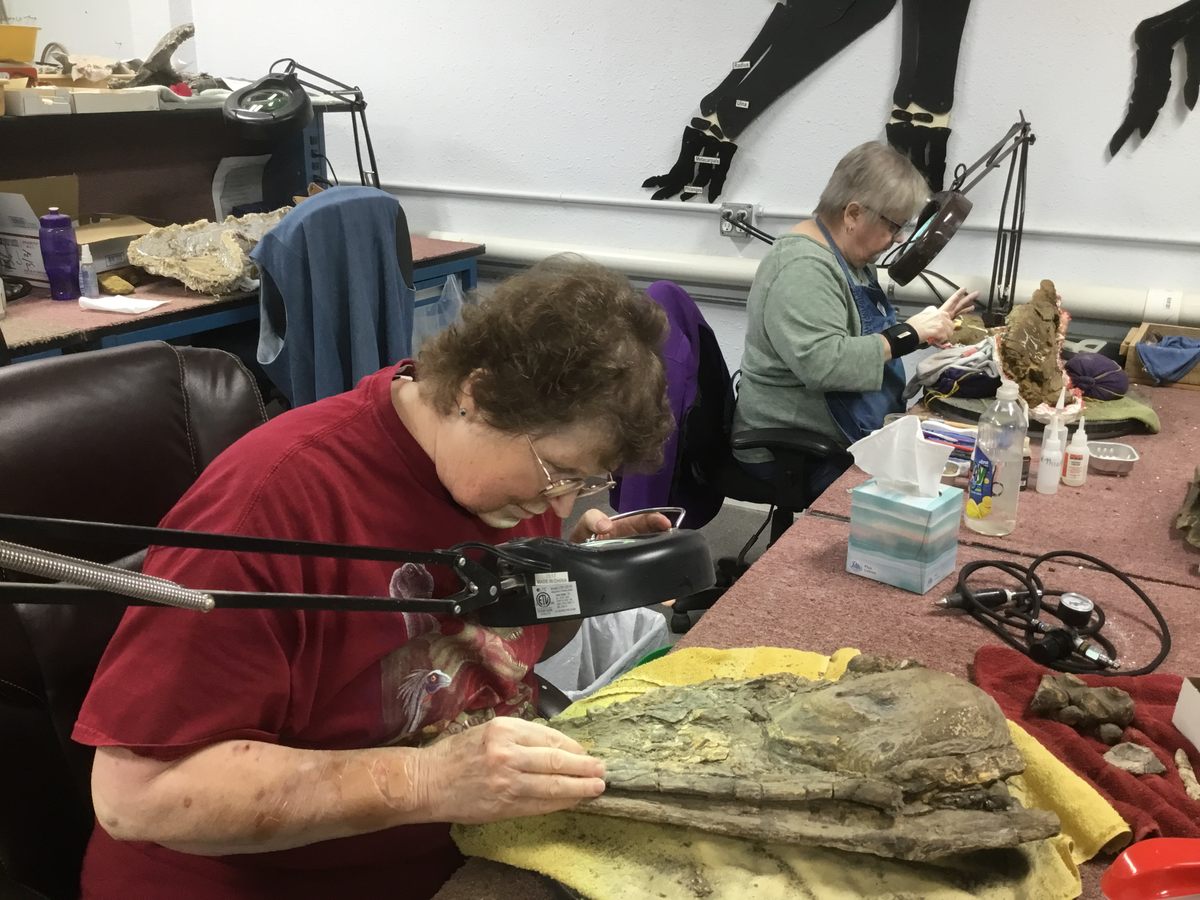 Roberta Smith and Lorna Keyfauver in the fossil prep lab, where piecing together fragments of bones is a rewarding puzzle.