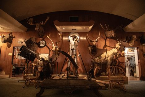 The Mammoth Skeleton