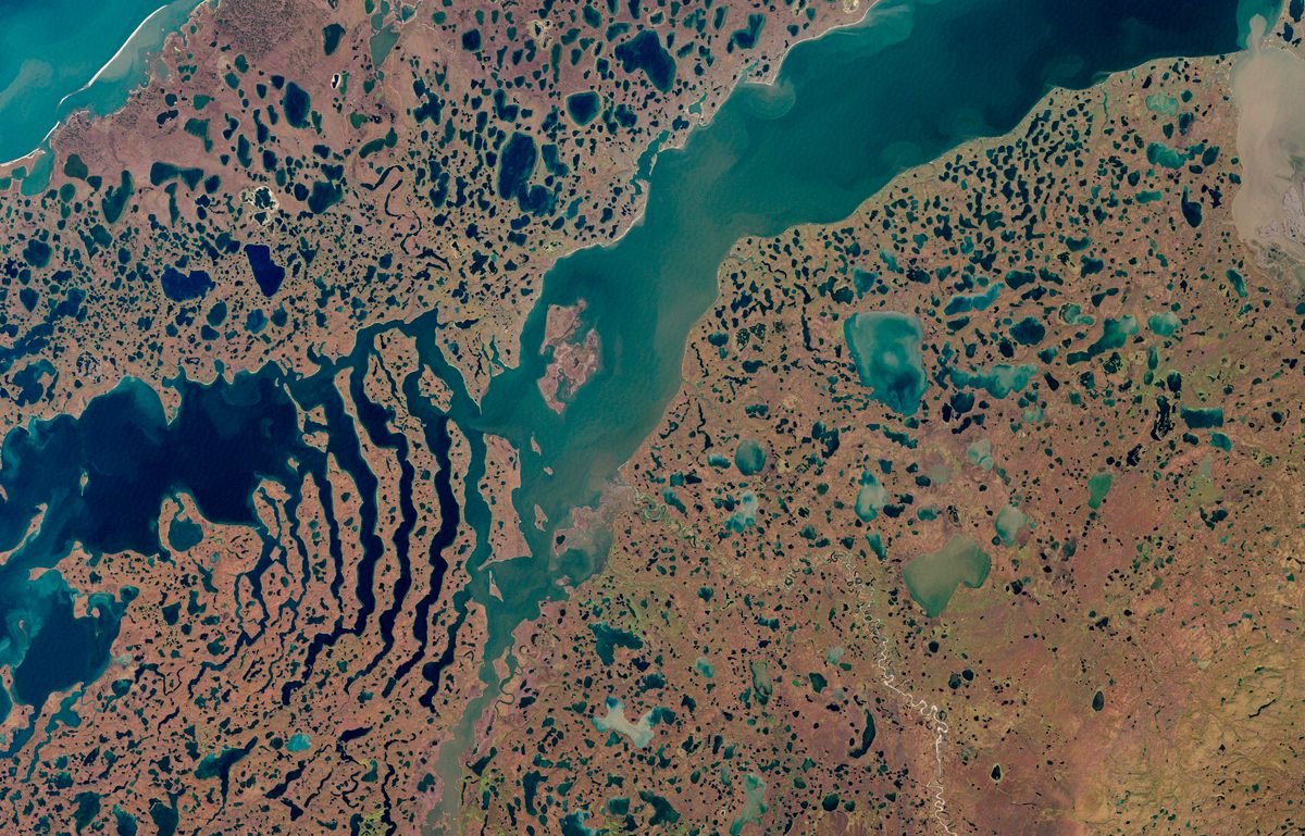 The Landsat 7 satellite captured this rotated image of Liverpool Bay, the Eskimo Lakes, and the Tuktoyaktuk Peninsula in September 2000.