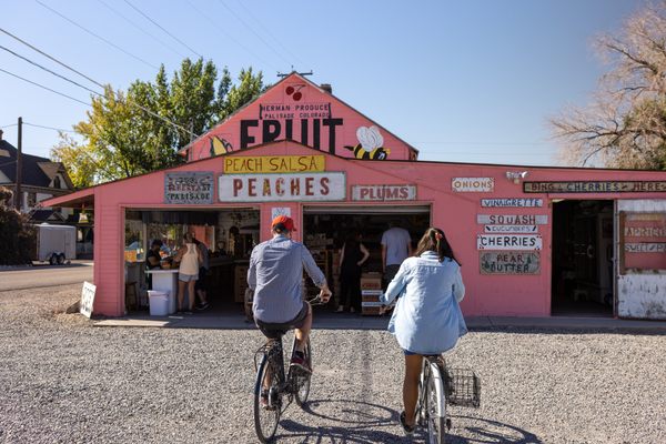 The town of Palisade is famous for its peaches and other stone fruits.