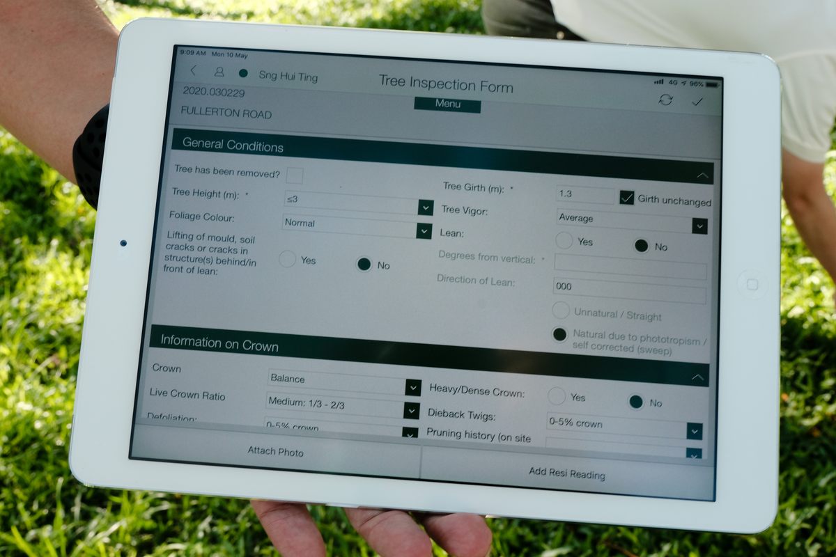 Eric Ong records the tree’s vital statistics on an electronic tablet, which is also linked to a database of the tree’s history and past inspections.