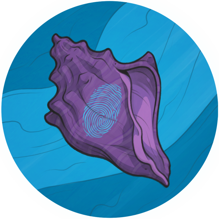 The team figured out how to lift fingerprints from poached shells using materials that could be bought at any hardware store.