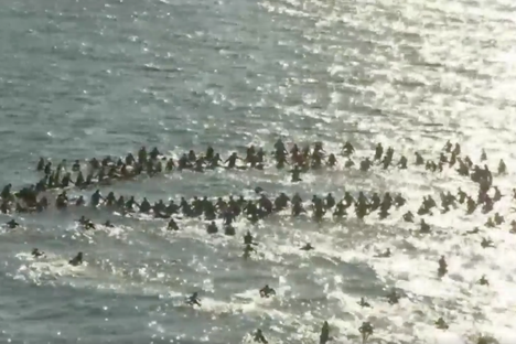 Thousands of Surfers 'Paddled Out' to Honor a Legendary Wetsuit Pioneer