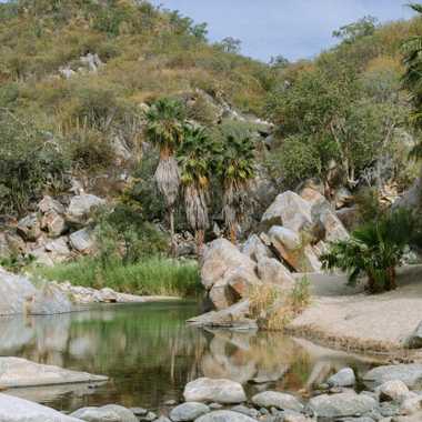 Accessed via a 90-minute drive that takes you through the small towns of Santiago and San Jorge, the Santa Rita Hot Springs are one of Los Cabos hidden gems.