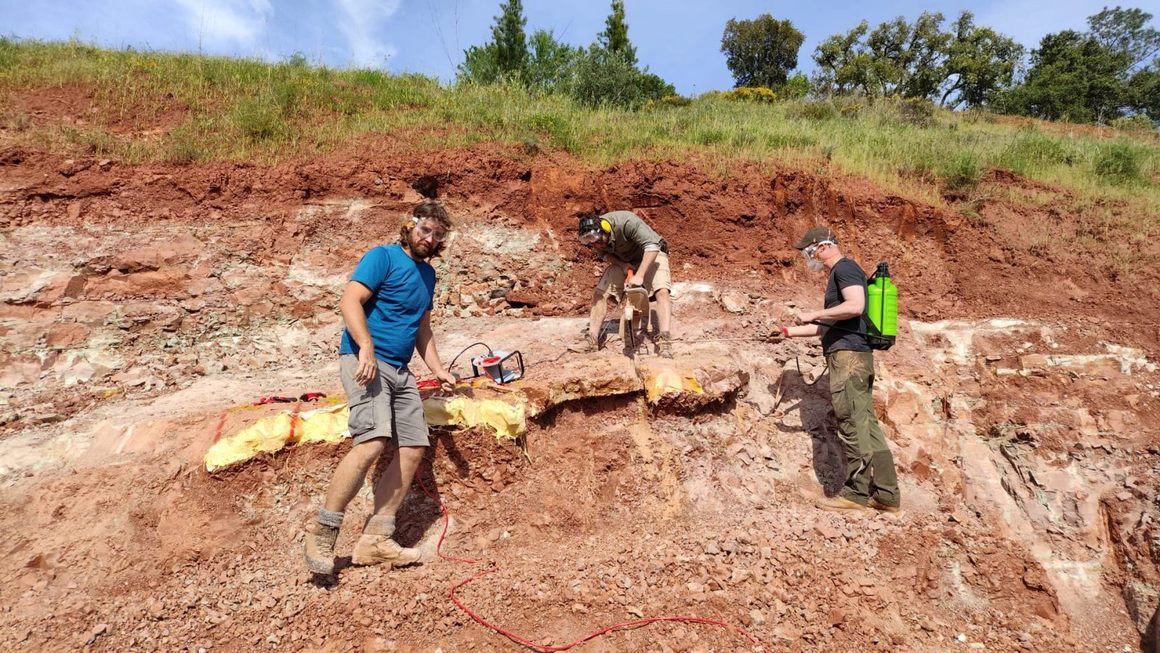 The DinoDawn team at work beside plaster-jacketed fossil blocks in the Algarve.