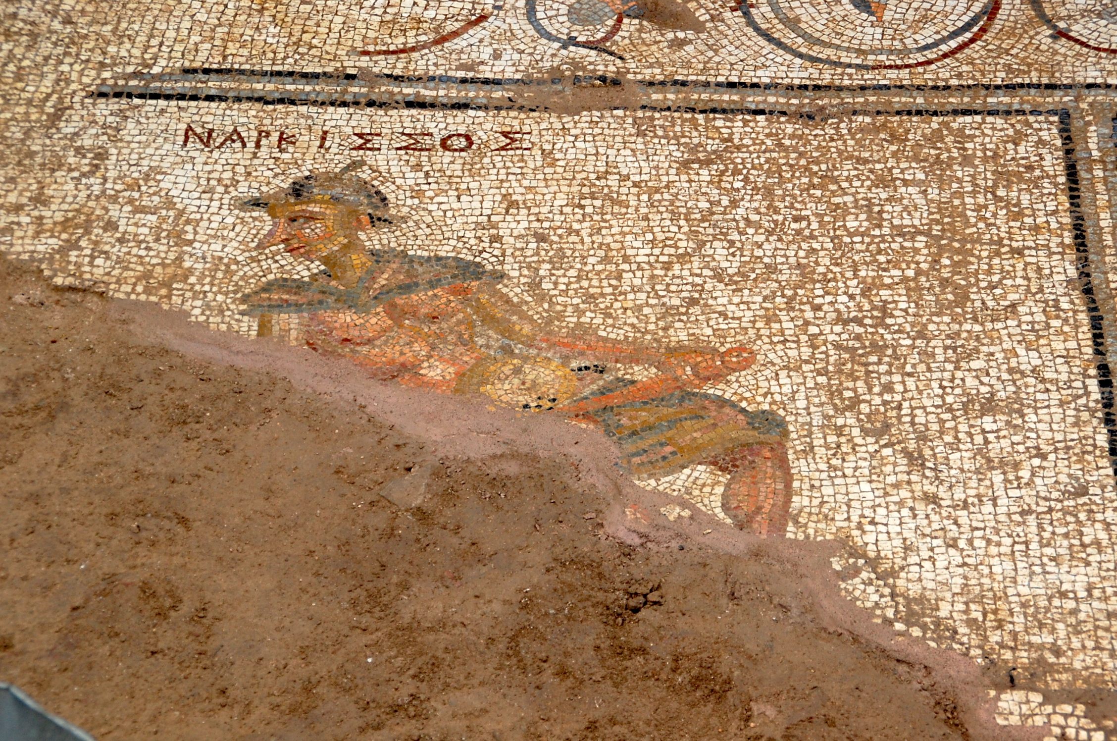 Narcissus, admiring his, uh...