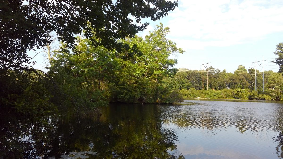 Busta Rhymes Island Shrewsbury, Massachusetts Atlas Obscura