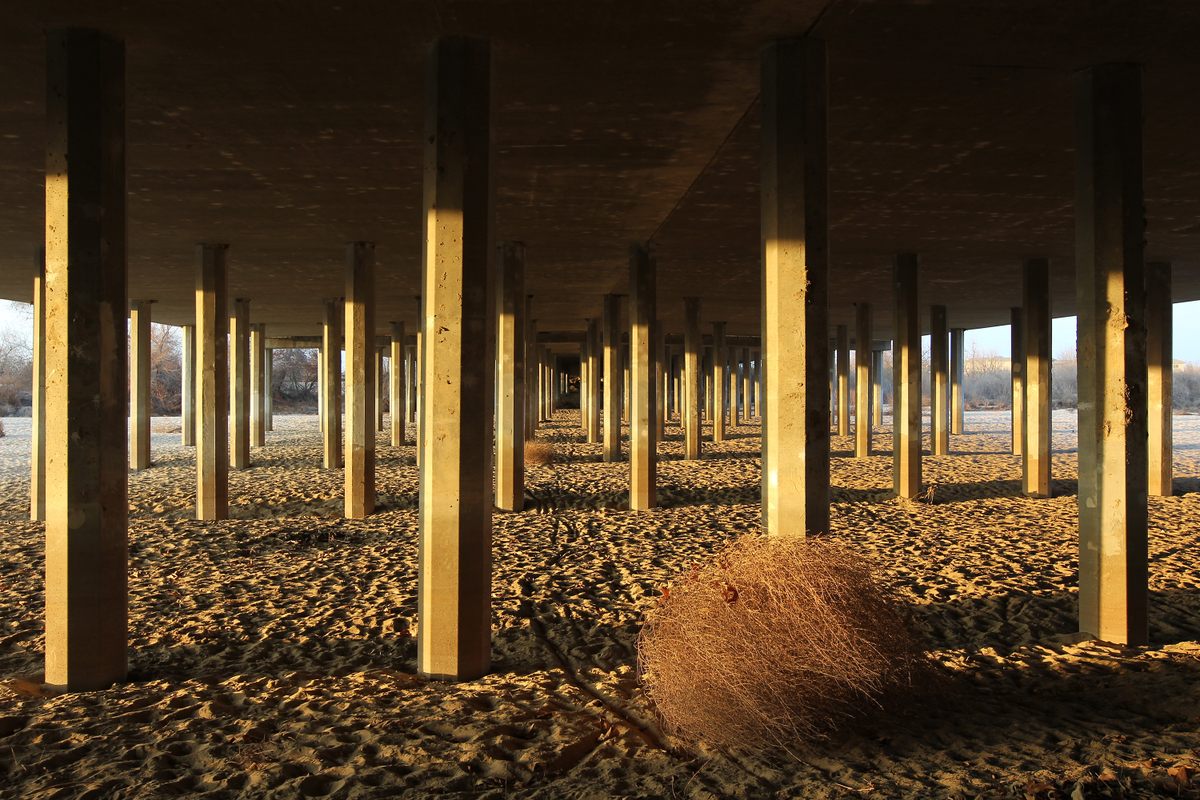 Tumbleweeds have a habit of turning up in places they're not welcome.