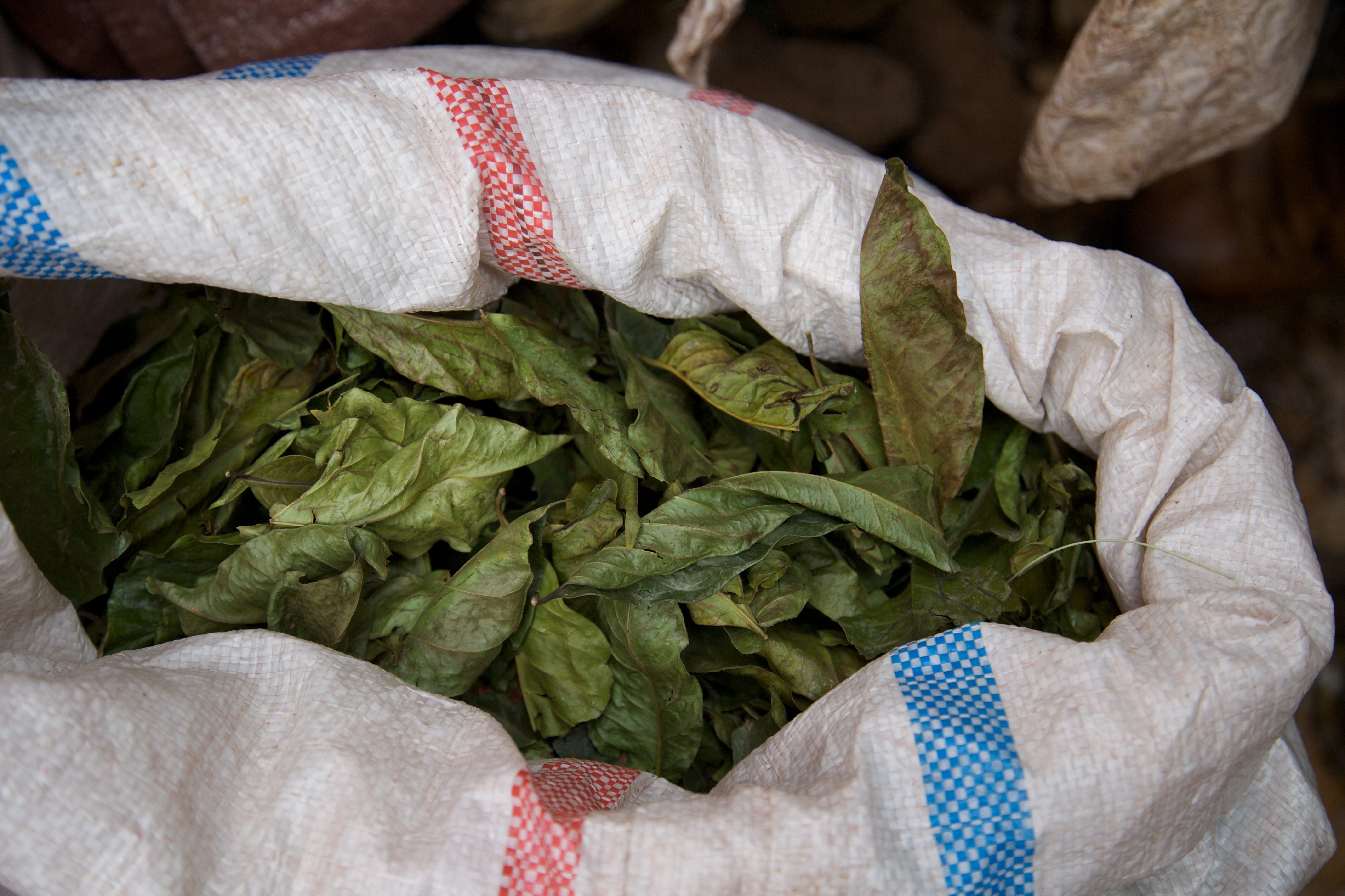 A bag of coffee leaves.