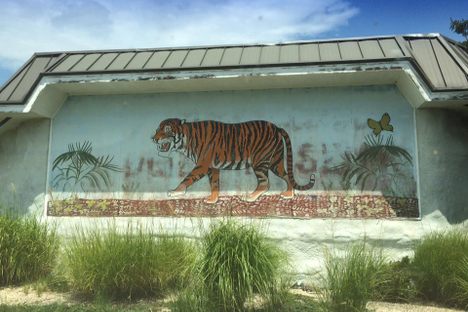 Cool mural on the building