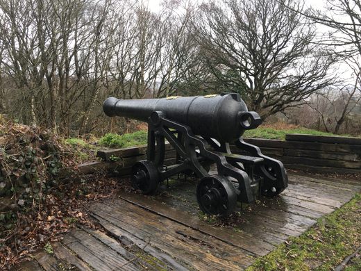 A cannon sits on a wet wooden platform overlooking trees