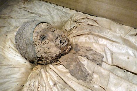 Faces of the Past: 200-Year-Old Mummies Go on Display in Germany