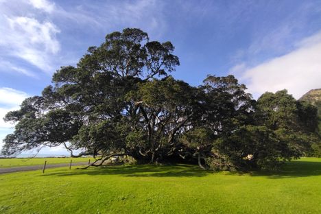 Te Waha O Rerekohu