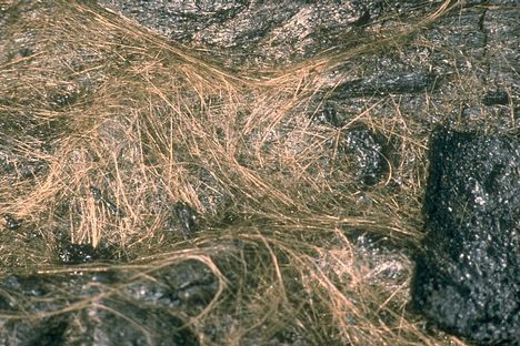 Hundreds of strands of Pele's hair intertwined on the surface of a pahoehoe flow at Kīlauea Volcano, Hawaii from an eruption in the 1980s.