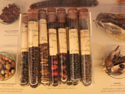 Specimens at the museum.