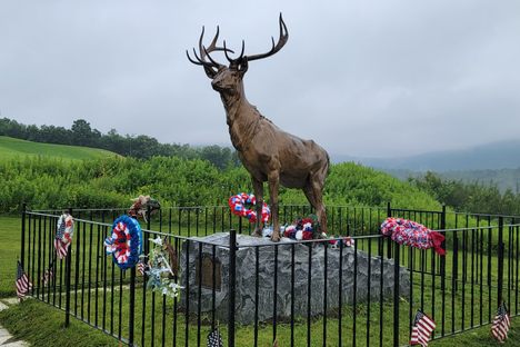 The Elk on the Trail