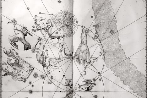 Chart 49. A print of the copperplate engraving of Johann Bayer's 1661 edition of Uranometria, which depicts 12 new constellations.