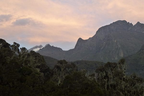Mount Stanley, home to Margherita Peak