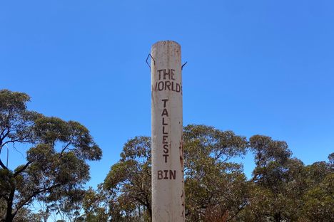The World's Tallest Bin