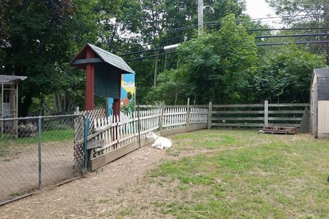 Book Barn