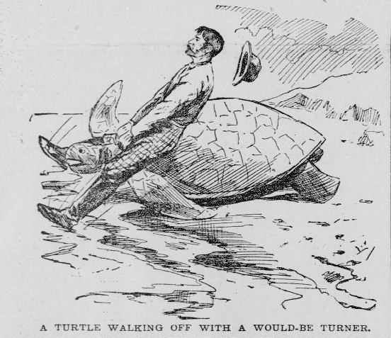 A man wrangles a turtle in an 1894 illustration.