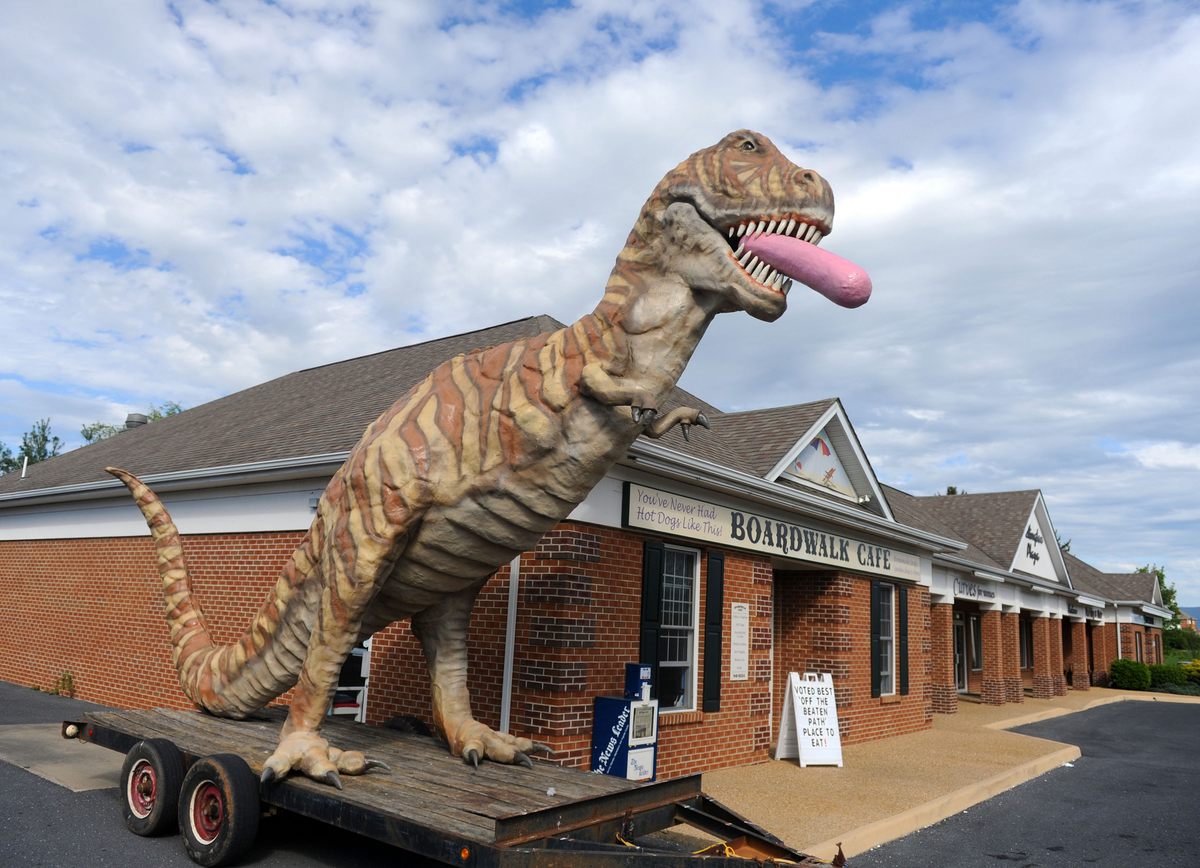 With a hotdog in its mouth, a Mark-Cline-created Tyrannosaurus Rex finds a temporary home outside the Boardwalk Cafe in Waynesboro, Virginia, on Tuesday, April 17, 2012.