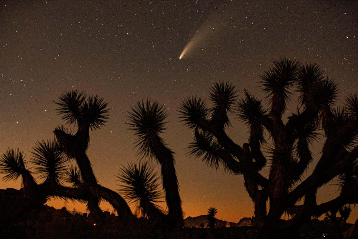 Joshua Tree, California, July 18, 2020.