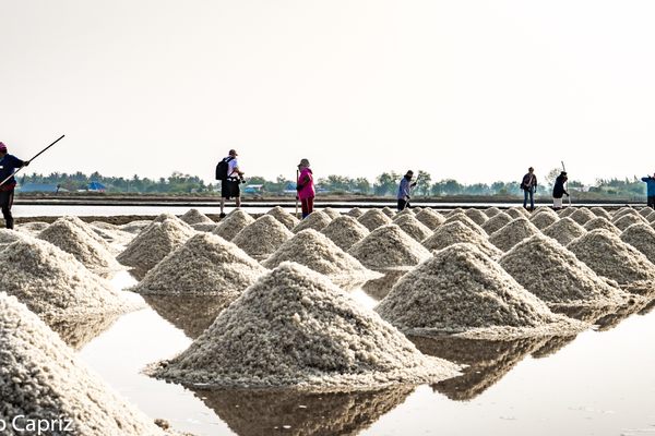 The salt farms of Thailand. 