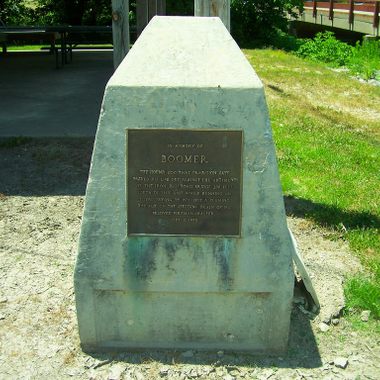 Monument to Boomer the Three-Legged Hero Dog