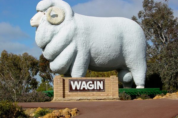 Giant Ram