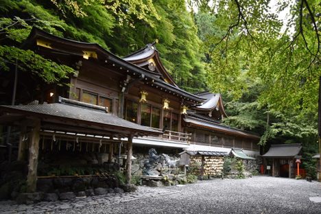 The serene shrine grounds.