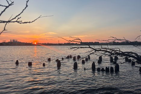 Sunset on the Western coast of Petty's Island