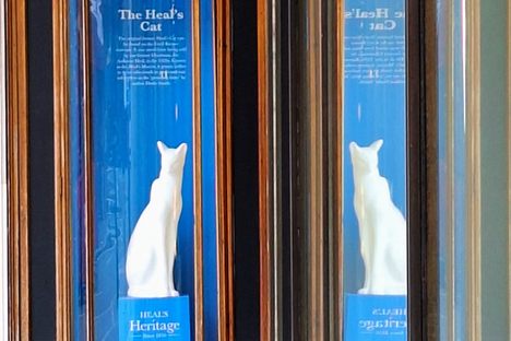Heal's Cat