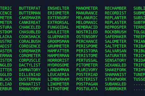 Look at all dem words. 