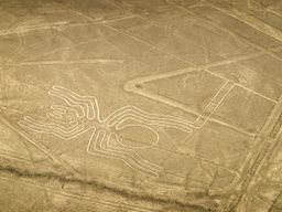The Spider (Nazca Lines)
