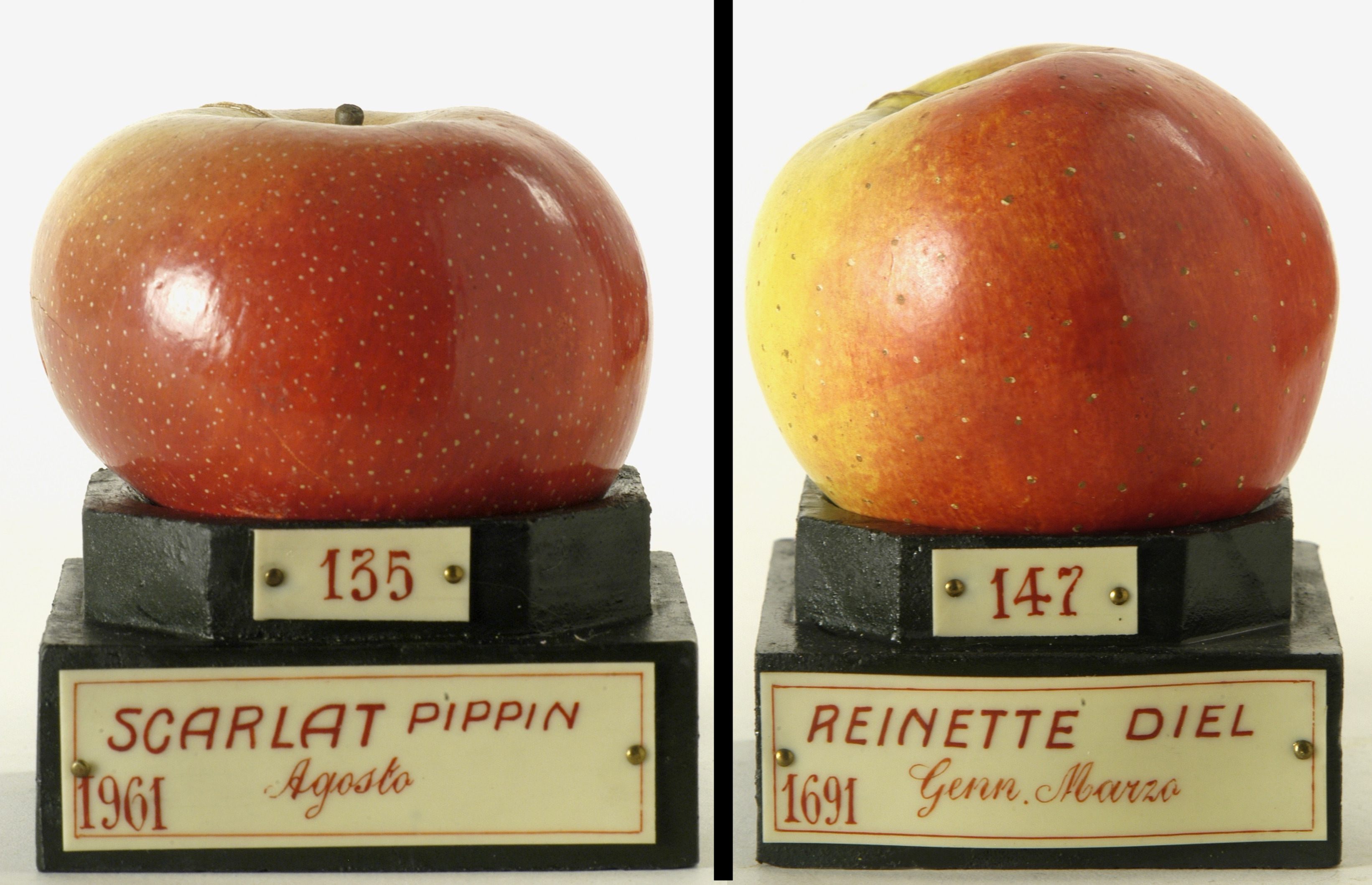 We Bet You Didn't Know This About Decorative Fake Fruit